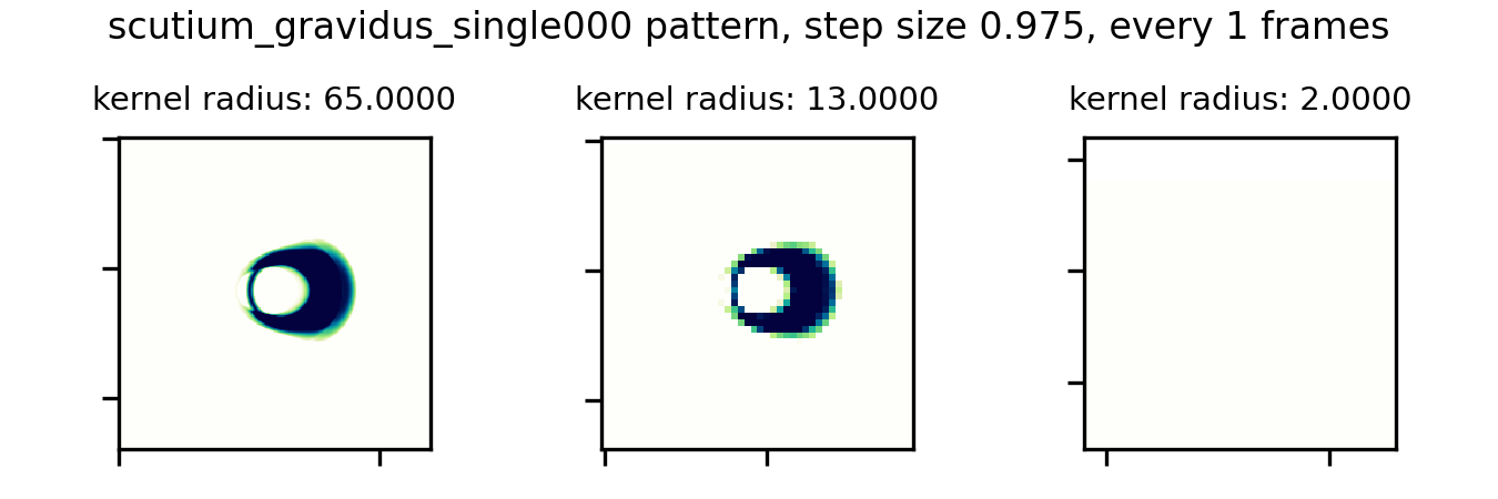 Scutium glider animation with kernel size